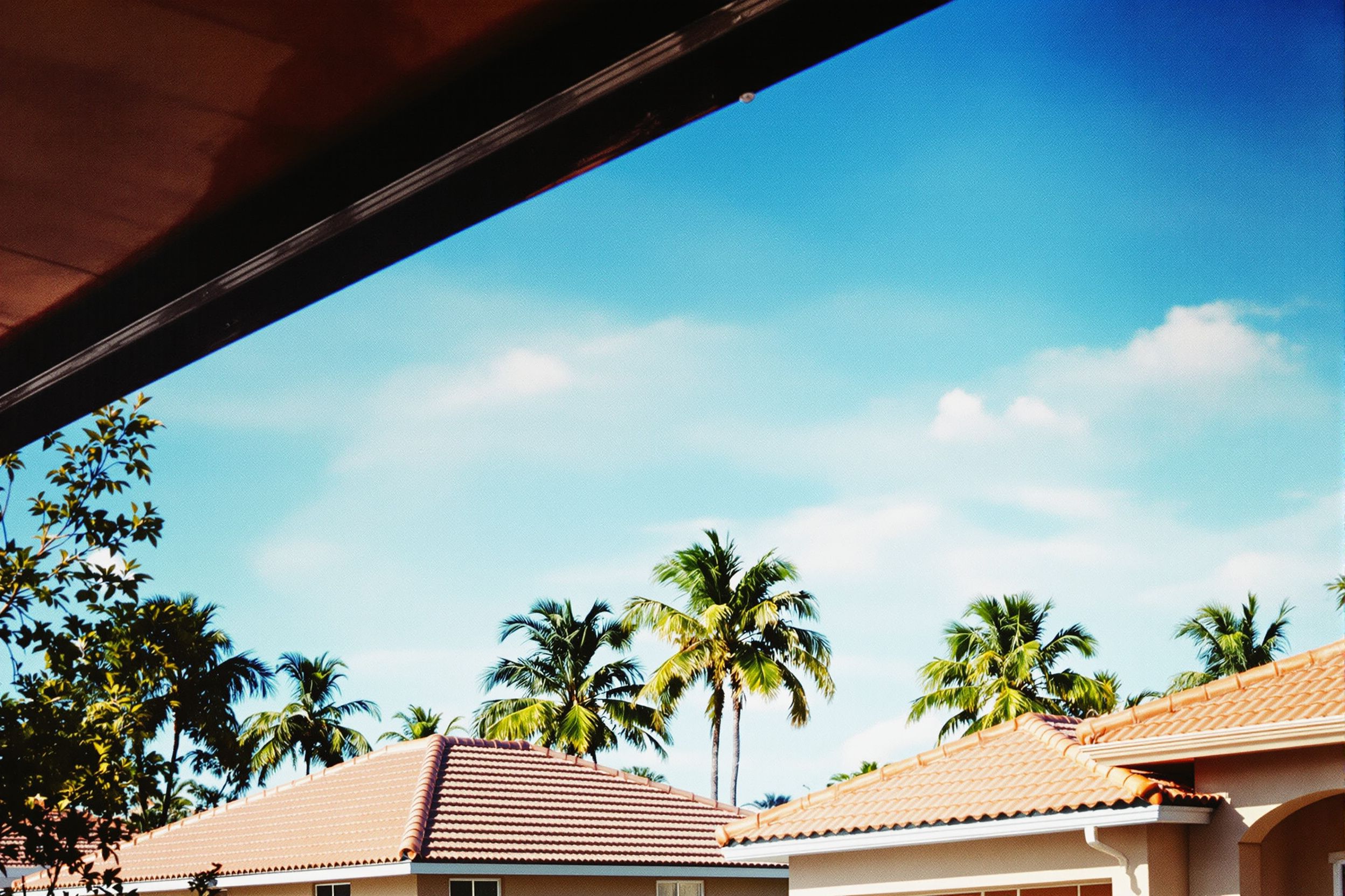 Tile roofs and palm trees under a Florida sky