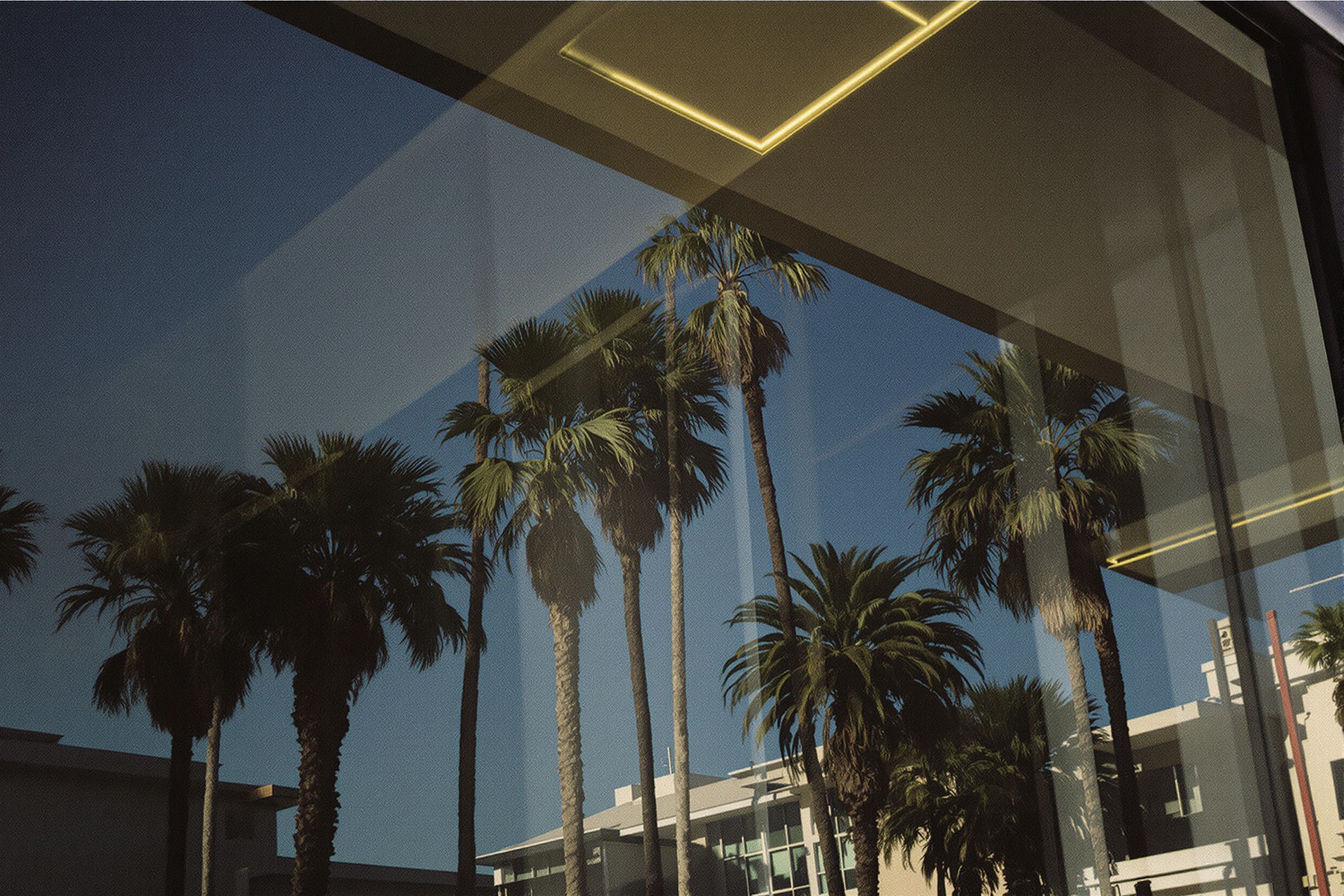 Dark tinted windows reflecting palm trees on a California building